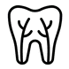 Tooth icon with root canals illustrated, representing dental endodontic treatment or tooth anatomy.