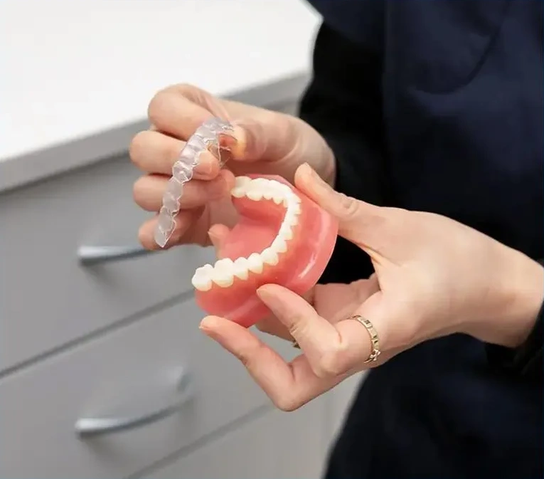 Dentist holding dental model demonstrating teeth and gums for patient education.